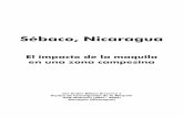 en una zona campesina - 209.177.156.169209.177.156.169/libreria_cm/archivos/pdf_293.pdf · El impacto de la maquila en una zona campesina Sébaco, Nicaragua C A P I T U L O I Sébaco,