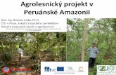 Agrolesnický projekt v Peruánské Amazoniixcepl/inobio/nove/Agrolesnictvi/... · íle přednášky • Definovat agrolesnictví • Představit rozvojový projekt v Peruánské