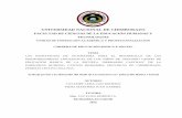 UNIVERSIDAD NACIONAL DE CHIMBORAZO - …dspace.unach.edu.ec/bitstream/51000/1862/1/UNACH... · las estrategias de autoestima para el desarrollo de las macrodestrezas linguisticas