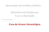 Renovação Carismática Católica Ministério de Oração … · São Paulo em sua carta aos romanos, 7,15 declara: “Não faço o bem que quero e faço o mal que não quero”.