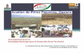 Acatlán de Pérez Figueroa, Oaxaca - gob.mxinafed.gob.mx/work/foro_desde_lo_local/memorias/5_foro/una... · Parcelas demostrativas y de investigación Módulos de maquinaria agrícola