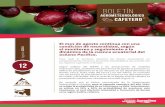 Boletín - Recinto del Pensamiento para el cultivo del café, para el mes de agosto del 2016 Siembra de cafetales No se recomienda realizar siembras en el mes de agosto para la caficultura
