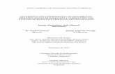 Determinación experimental de penumbra de …ricabib.cab.cnea.gov.ar/437/1/1Filipuzzi.pdf · tesis carrera de maestrÍa en fÍsica mÉdica determinaciÓn experimental de penumbra