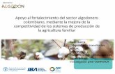 Apoyo al fortalecimiento del sector algodonero colombiano ... · Colombiano Agropecuario –ICA, entidades departamentales y municipales, productoras y productores, técnicos, DIAGONAL