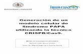 Generación de un modelo celular de Síndrome PAPA ...uvadoc.uva.es/bitstream/10324/12059/6/TFM-M217.pdf · Clasificación de las enfermedades autoinflamatorias sistémicas hereditarias,