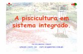 A piscicultura em sistema integrado.intranetdoc.epagri.sc.gov.br/producao_tecnico_cientifica/DOC_7043.pdf · •Aeradores (a noite) no período final do cultivo