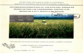 Recomendaciones para el cultivo de arroz Var. A 70 ... · RECOMENDACIONES PARA EL CUI-TIVO DEL ARROZ EN MORELOS CON LAS VARIEDADES: ZAPATA A-70, MORELOS A-70 Y JOJUTLA MEJORADO SARH