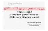 NDM-1 y KPC ¿Estamos preparados en Chile para diagnosticarla? · • Beta lactamasaclase A de Ambler ... Inhibida por ácido borónico Inhibida por EDTA metalo-β-lactamasa Tipo