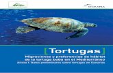 Tortugas - eu.oceana.org · Profundidades máximas en la que se situaban las tortugas Detalle, por tortugas, sobre preferencias de hábitat según temperaturas