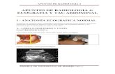 APUNTES DE RADIOLOGIA 4aula.escuelaosteopatiamadrid.com/admin/jscripts/tiny_mce/plugins/... · apuntes de radiologia 4 escuela de osteopatia de madrid página 1 apuntes de radiologia