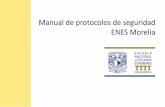 Manual de protocolos de seguridad ENES Morelia · Laila Magali Montes Nieto Arq. ... existe un pequeño porcentaje en el cual se puede presentar ... sin lugar a duda la más peligrosa