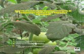 BBBOOOLLLEEETTTÍÍÍNNN DDDEEELLL …50).pdf · ventajas: reduce el consumo del agua en los cultivos a través del sistema de recirculación, ... En este proceso las aplicaciones