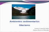 Ambientes sedimentarios Glaciaresusuarios.geofisica.unam.mx/cecilia/CT-SeEs/AGlaciares...El hielo es el agente de transporte, entre los que operan en la superficie terrestre, con menor