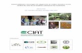 Vulnerabilidad y estrategias de adaptación al …dapa.ciat.cgiar.org/wp-content/uploads/2012/07/Final...Colaboradores: Vulnerabilidad y estrategias de adaptación al cambio climático