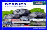 INSTITUTO - observatorioaraucania.clobservatorioaraucania.cl/wp-content/uploads/2018/05/VT/Reporte VT3... · producen distintos tipos de berries, siendo más de 100 agricultores a