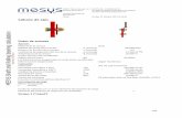 Cálculo de ejes - MESYS AG · Tipo de rodamiento Rodamiento de rodillos esféricos Fabricante Generic Nombre del rodamiento 23040 Diámetro interno del rodamientod 200.000mm