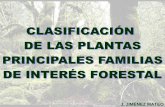 J. JIMÉNEZ MATEOservicios.educarm.es/templates/portal/ficheros/websDinamicas/20... · LAS PLANTAS. CLASIFICACIÓN Categorías taxonómicas principales Sistema de Clasificación con