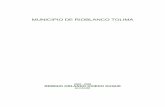 MUNICIPIO DE RIOBLANCO TOLIMA - cdim.esap.edu.cocdim.esap.edu.co/BancoMedios/Documentos PDF/resumen ejecutivo p.o.t... · RESUMEN El municipio de Rioblanco cuenta con un área de