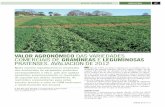 Ensaios en pequena parcela no CIAM VALOR AGRONÓMICO …ciam.gal/uploads/publicacions/878archivo.pdf · Neste número reprodúcense os resultados das avaliacións de variedades pratenses