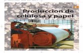 Educ ar para un desar rollo forestal sostenible Capi tulo ... · tidad de celulosa y hemicelulosas, ... en el caso de la pulpa de fibras largas, ... Arauco, Valdivia, Chile. 0,85
