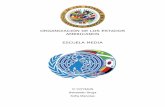 ORGANIZACIÓN DE LOS ESTADOS AMERICANOS ESCUELA …areadesociales.weebly.com/uploads/1/0/8/8/10886535/oea.pdf · 2018-09-06 · COYMUN VI - OEA 3 Introducción a la comisión La Organización