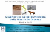 Diagnostica ed epidemiologia della West Nile Disease · Il ciclo epidemiologico ... • Hepatitis C virus . 6 West Nile Virus ... Ciclo endemico e di amplificazione tra di uccelli