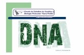 Estructura del DNA - cad.unam.mx · Carlos A. FernÆndez M." Polinucleótido producido por la polimerización de desoxirribonucleótidos Grupo Fosfato + † D - desoxirribofuranosa