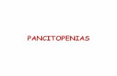 PANCITOPENIAS - HEMATOLOGIAGraduaçãohematofmusp.weebly.com/uploads/1/1/0/4/11043685/pancitopenias_2016.pdf · • Leucopenia Citopenias combinadas • Bicitopenia • Pancitopenia