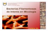 Bacterias Filamentosas de Interés en Micologíaecaths1.s3.amazonaws.com/ebcunne/106833811.Clase bacterias... · Bacterias Filamentosas de Interés en Micología Universidad Nacional