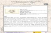 Carta de la isla de la Gran Canaria: Océano Atlántico ... · Hidrográficos o Dirección de Hidrografía, organismo para el estudio y fomento de la cartografía náutica que ...