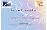 Oncologia Comparata Oggi - dossetti.it · Oncologia Comparata Oggi Dr. Angelo Ferrari Direttore del Centro di Referenza Nazionale per l’Oncologia Veterinaria e Comparata (CEROVEC)