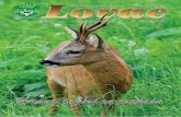 Lovaclovactk.com/lovac/Lovac 78.pdf · 4 Lovac Juni 2018 2018 Juni Lovac 5 DU organizaciji LD „Tuzla“ Tuzla, održan je 24. radni sastanak članica SLD TK, odnosno predstavnika