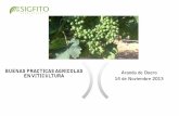 Viticultura de precisión - Portada - Agronegocios · ⇒4.000 Empresas dedicadas a la Viticultura ⇒5.000 Millones de ...