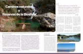 Caminos naturales España cuenta con un total de 48 ... · los ecosistemas de humedales ... está considerada como una de las Reservas de la Biosfera más extensas ... trar una representación