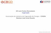 Associação da Indústria de Cogeração de Energia - COGEN ... Duarte COGEN.pdf · Bioeletricidade: Avanço Tecnológico na Cogeração 6 Evolução: Produtor de Açúcar, Etanol