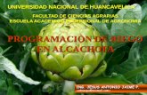 PROGRAMACION DE RIEGO EN ALCACHOFA · PROGRAMACION DE RIEGO EN ALCACHOFA ... (Tensiometros) 1. Medida del estado hídrico de la ... PROGRAMACIÓN DEL RIEGO EN CULTIVO DE ALCACHOFA