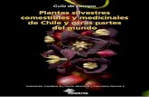 Plantas silvestres comestibles y medicinales de Chile y otras partes ... · 13 INTRODUCCIÓN Las plantas silvestres se definen como aquellas especies que crecen espontáneamente en