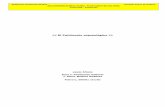 EL PATRIMONIO ARQUEOLÓGICO (2002) · 2005-05-06 · de la conservación integral de los yacimientos, los objetivos de la investigación arqueológica, la importancia que del contexto