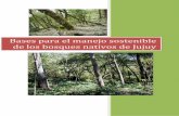 adj13Bases para el Manejo Forestal Sostenible · forestal y foresto industrial. La cadena de valor forestal vinculada al bosque nativo 3. ... Esta documentación de Base se focaliza