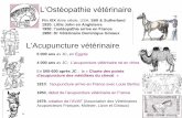 L'ACUPUNCTURE en médecine équine · DMV Eva Jonville L'Acupuncture vétérinaire 5 000 ans av JC, en Égypte 4 000 ans av JC: Lacupuncture vétérinaire né en chine En 500-600