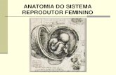 ANATOMIA DO SISTEMA REPRODUTOR FEMININO · Útero bovino gestante. Perimétrio, Miométrio e Endométrio KÖNIG, 2002. VAGINA ... - BOYD, J. S. Atlas de anatomia clínica do cão