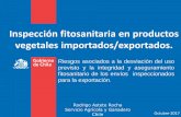 Inspección fitosanitaria en productos vegetales importados ...181.65.241.233/senasa-services/descargas/TallerInternacional/2017... · las plagas cuarentenarias para el territorio