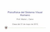 Psicofísica del Sistema Visual Humanowebs.ucm.es/info/giboucm/images/ml_calvo/5 31 mayo 2010.pdf · Ley de Fechner La relación entre la magnitud del estímulo y la magnitud del