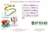 ESTRUCTURAS de PROTEINAS - ubio.bioinfo.cnio.esubio.bioinfo.cnio.es/Cursos/Summer2013/Introduccion.pdf · Cristalografia de Rayos X. Enhebrado de secuencia de la proteína en el mapa