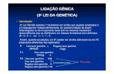LIGAÇÃO GÊNICA (3ª LEI DA GENÉTICA) - esalq.usp.br · .2ª Lei: Mendel estudou 7 caracteres em ervilha que quando analisados 2 ... Uma segregação gônica onde as combinações