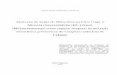 Miconia cinnamomifolia (DC.) Naud. (Melastomataceae) como ... · Botânica da Secretaria do Meio Ambiente, como parte dos requisitos exigidos para a obtenção do título de MESTRE