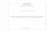 ANÁLISE DAS DEMONSTRAÇÕES CONTÁBEIS DO SETOR DE CARNES E ...bdm.unb.br/bitstream/10483/7722/1/2013_RodrigoCardosodeSantana.pdf · análises horizontal e vertical, tradicionalmente