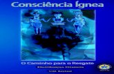 Consciência Ígnea /V.M Raphael. - 1. ed. - São Paulo: Gnose …api.ning.com/files/g3sZFdca7aeOh55kCOxfW4GktCS38R3uWESmv6YKPcTWDr1... · A Águia Rebelde – V.M. Rabol ... Cristo