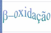 B - Oxidacao - bibliopedra.files.wordpress.com · Acetil-CoA (C14) R CH2 C O SCoA+ CH3 C O SCoA C14 C12 C10 C8 C6 C4 Acetil-CoA ... carboxilase Propionil-CoA D-metilmalonil-CoA metilmalonil-CoA