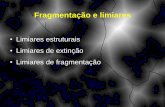 Fragmentação e limiares - ecologia.ib.usp.brecologia.ib.usp.br/lepac/bie5770_2012/aula_2_Limiares_2012.pdf · Evidências de limiares na paisagem: a percolação em modelos neutros
